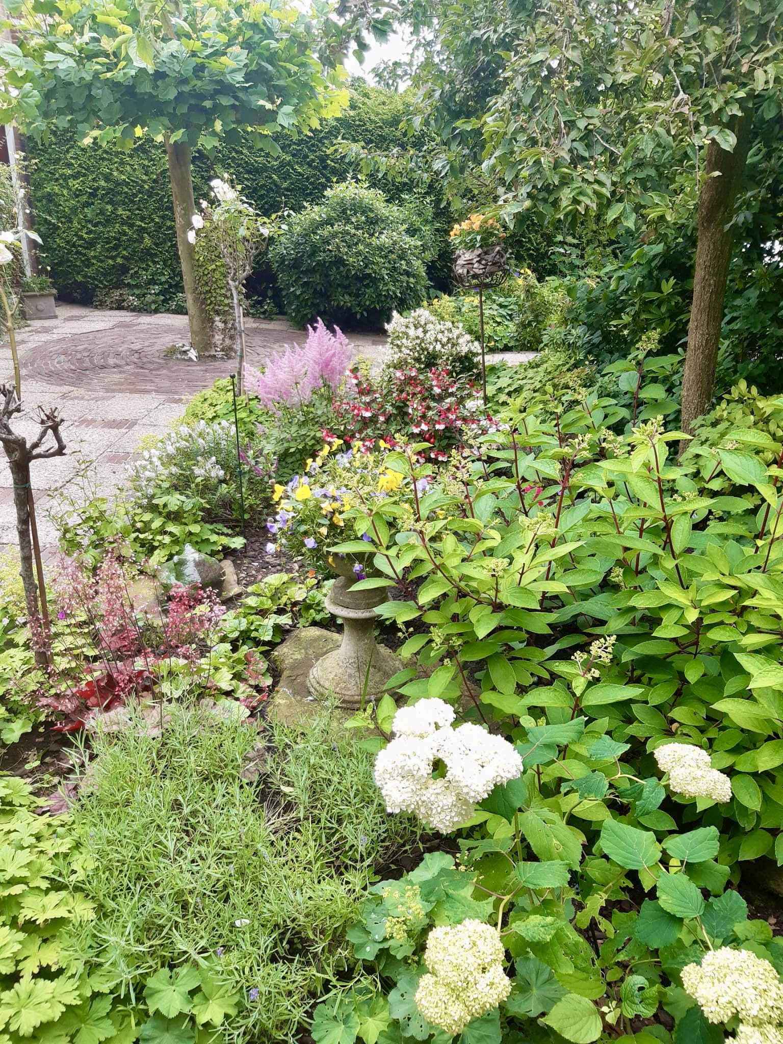 /userfiles/images/anecdotes/67a0d53104eb4_Beatrixlaan tuin voor.jpg